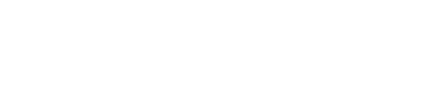 Savvpro